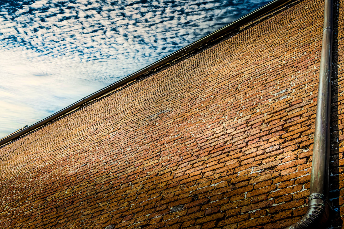 Charleston - Back Against the Wall