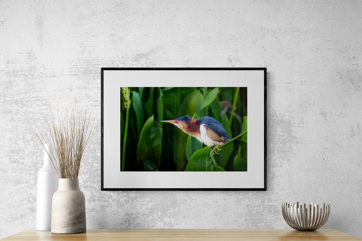 Blue Hour Bittern