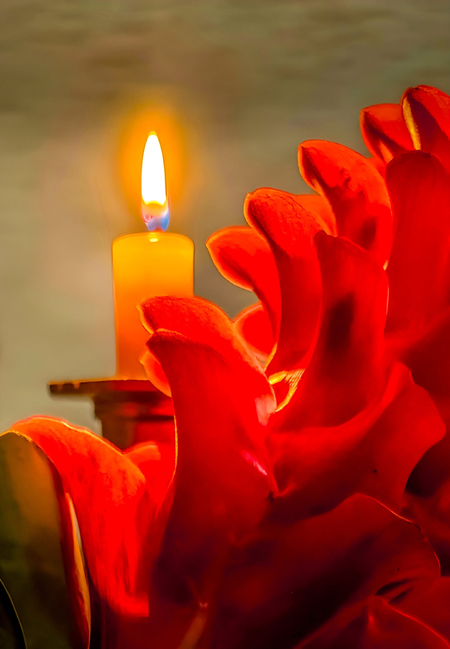 Candlelit Ginger
