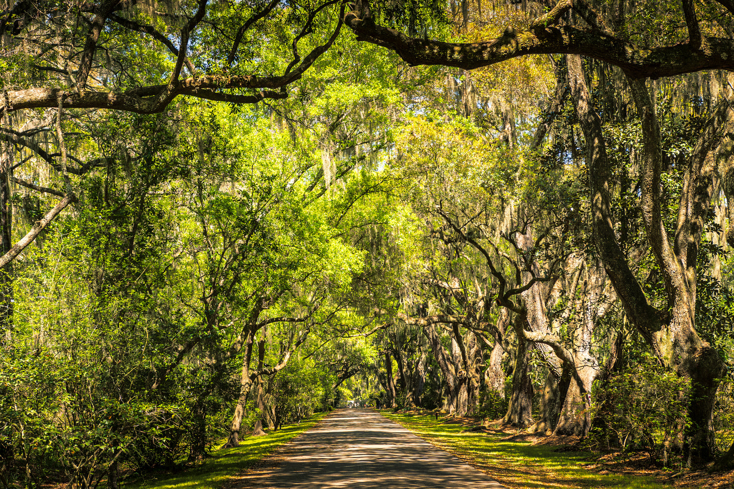 Charleston - Road to Perdition