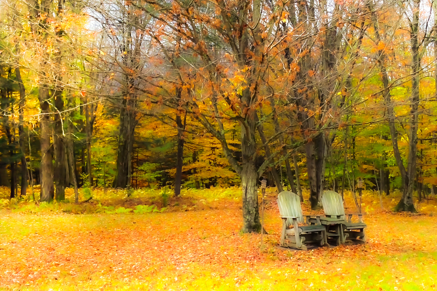 Death of Autumn in Bethel