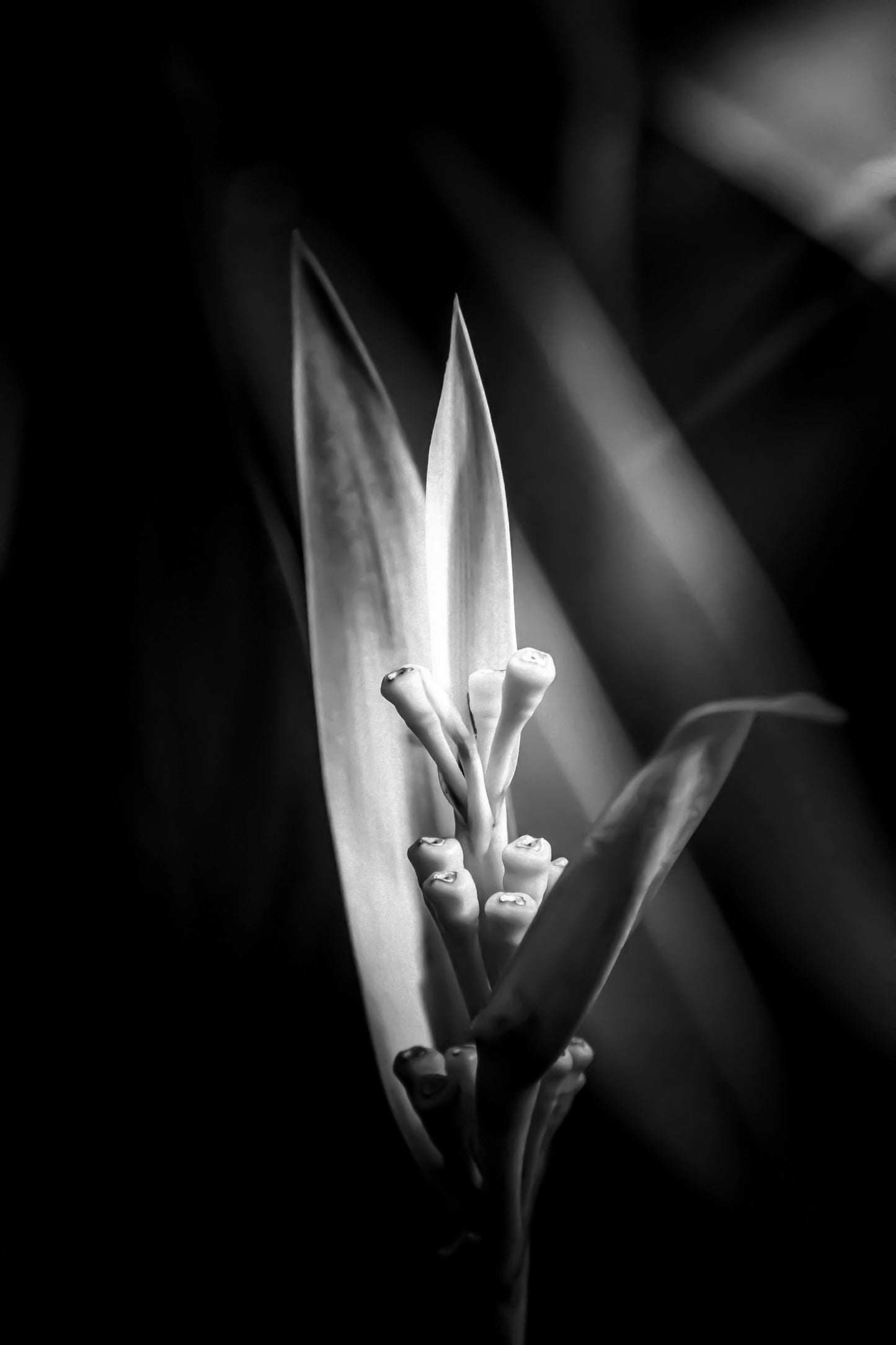 Demise