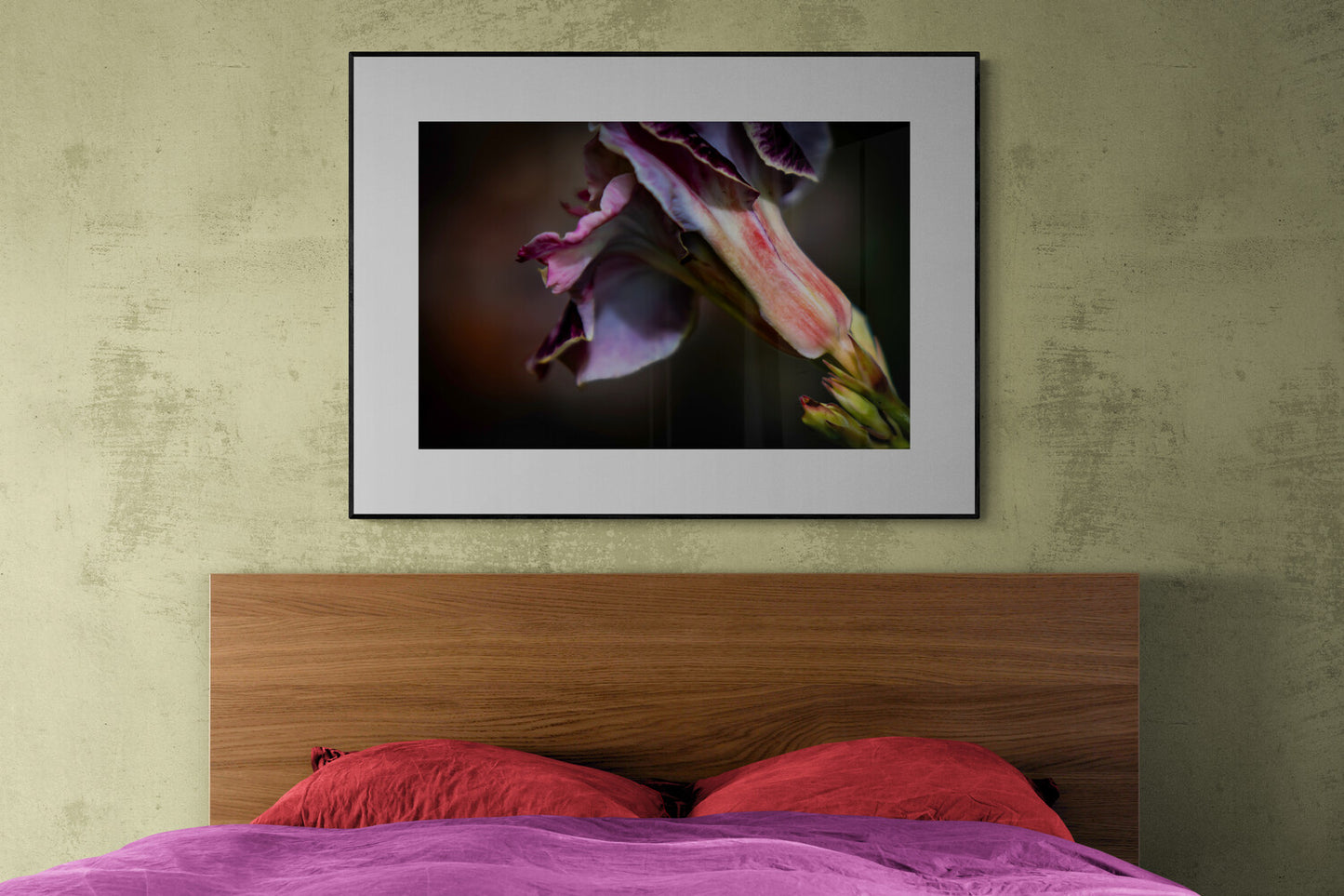Desert Rose in Profile