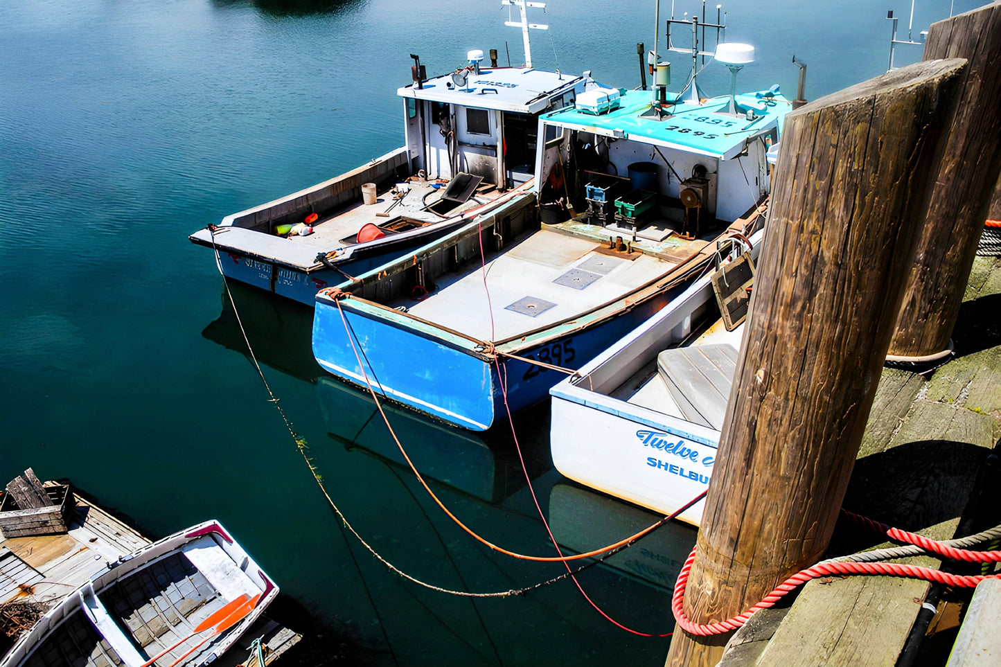 Dipper Harbour - Siblings