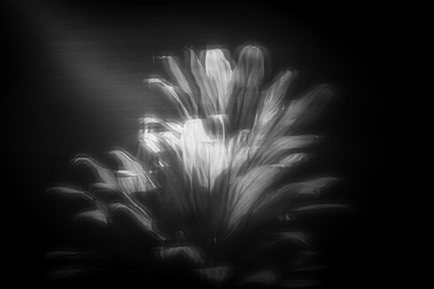 Finding the Light in B&W