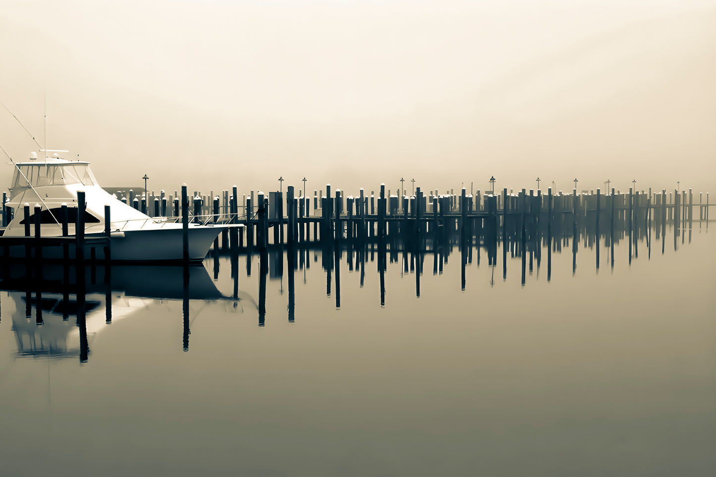 Foggy Memory