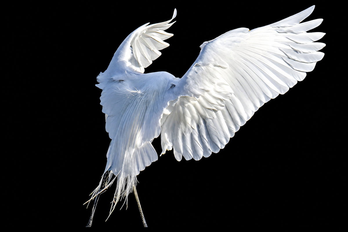 Heavenly Wrath