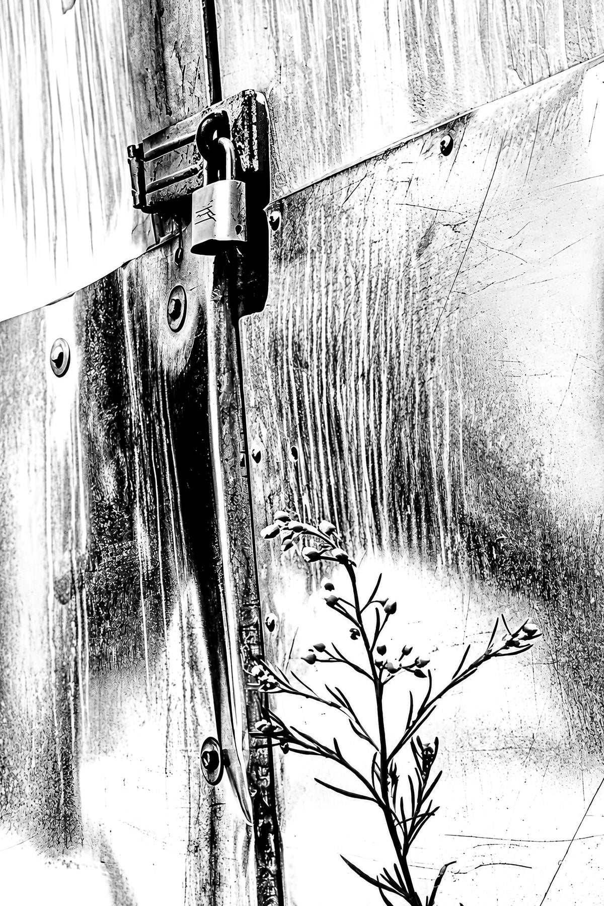 Back Alley Reflections