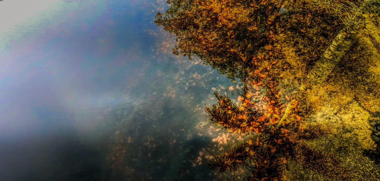 Morning Reflections