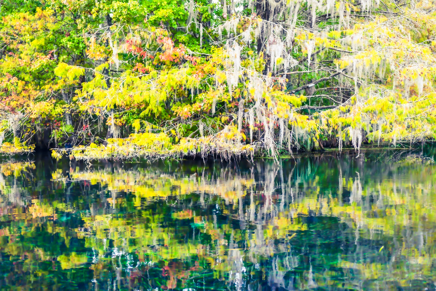 Ocala 2nd Impressionism