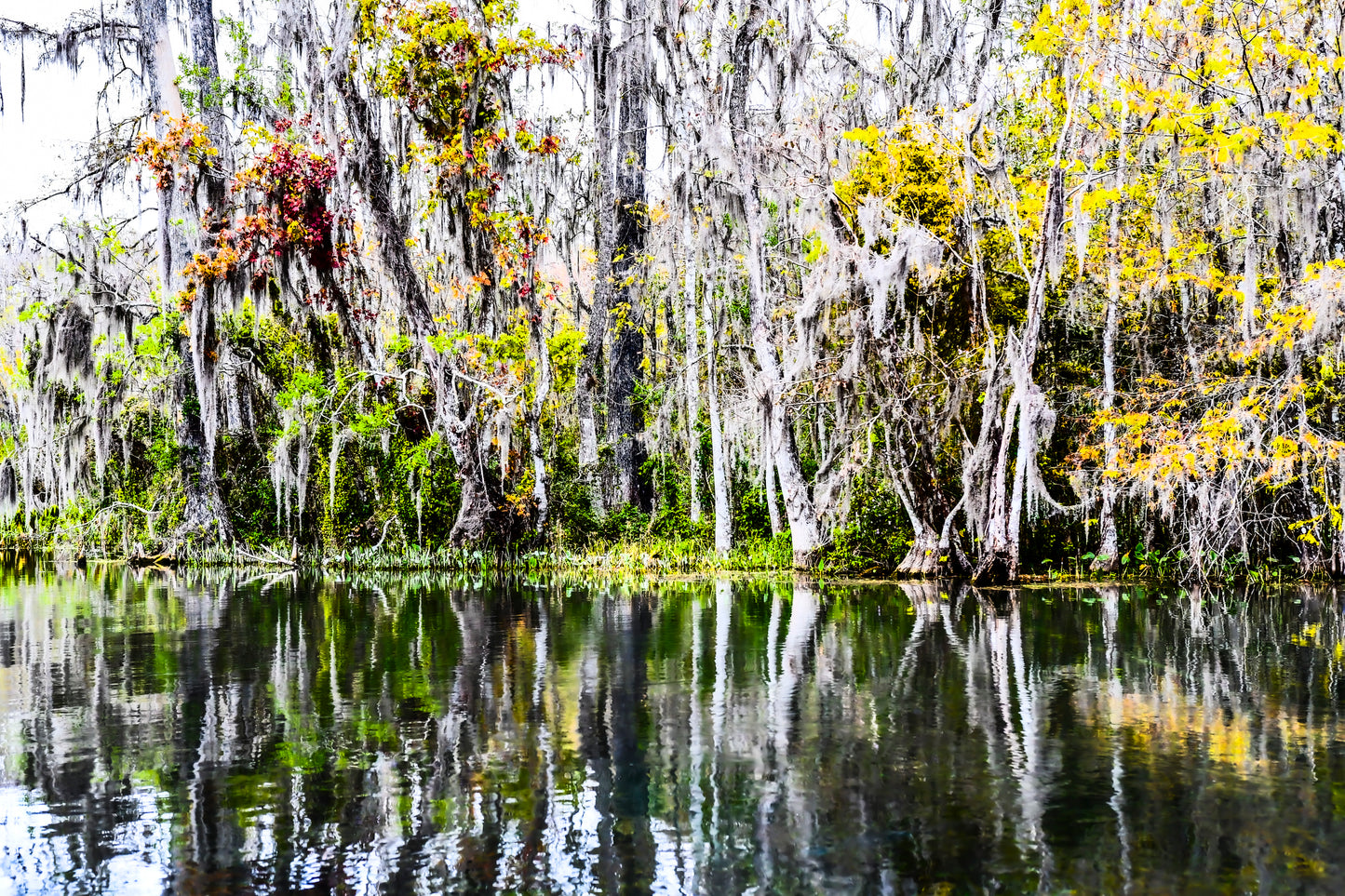 Ocala 1st Impressionism