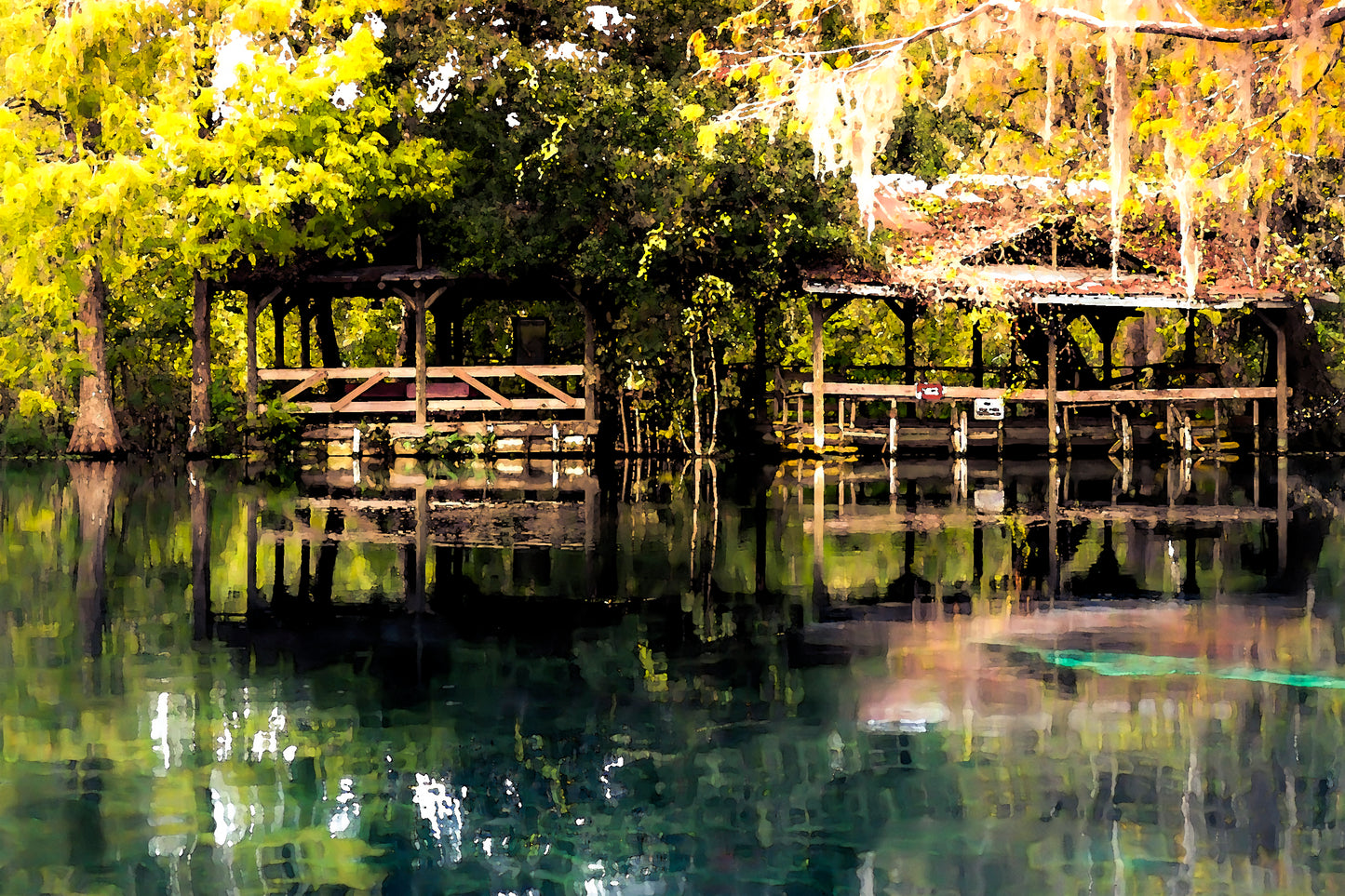Ocala Last Impressionism