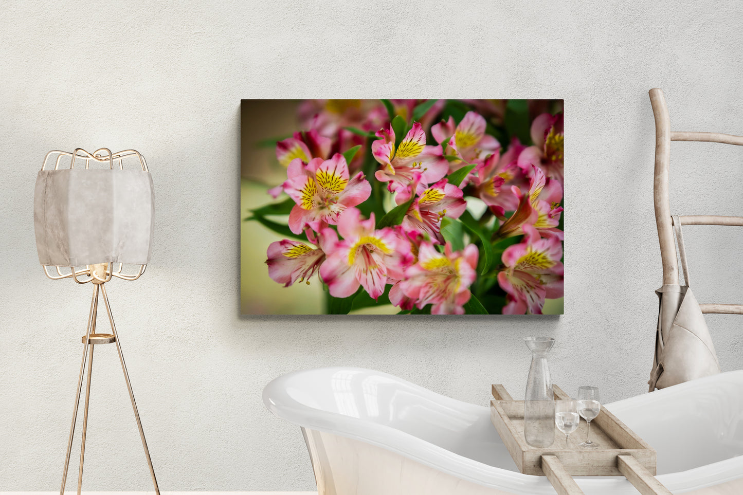 Peruvian Lily Saraband