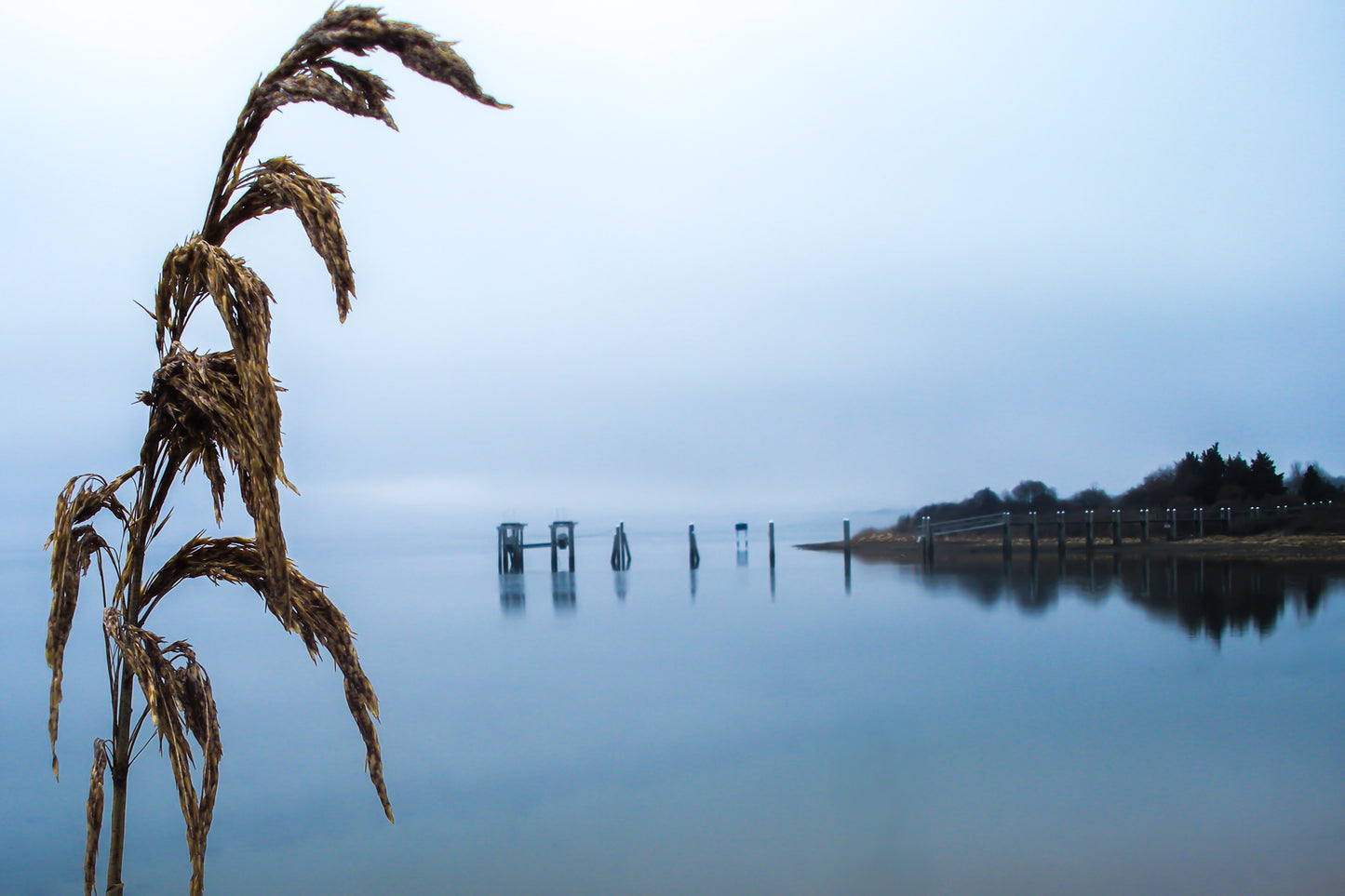 Retreat of the Morning Fog