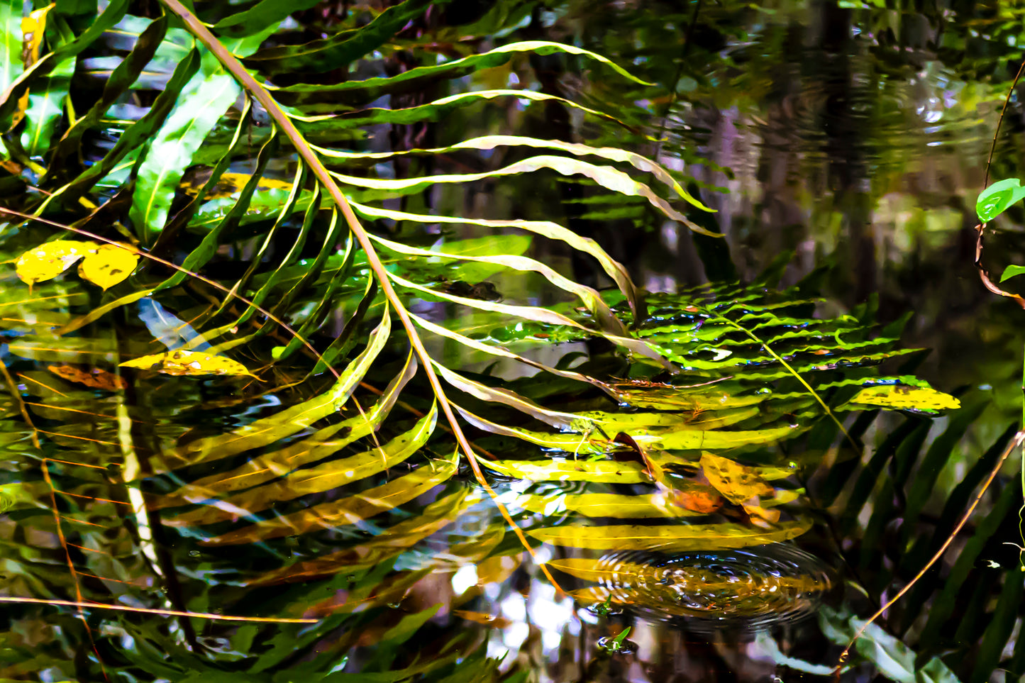 Return to the Primordial Ooze