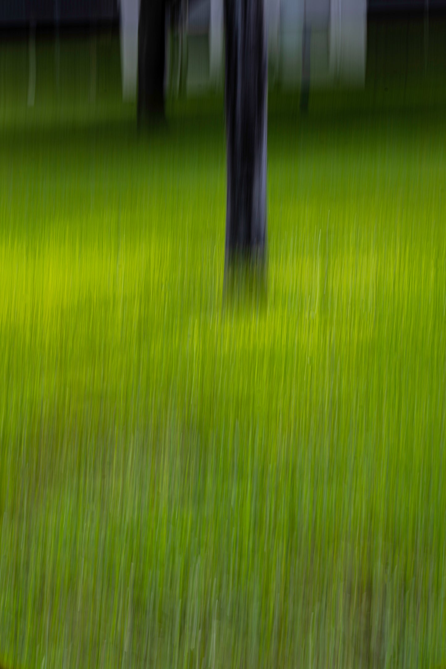 Edvard Munch's Backyard