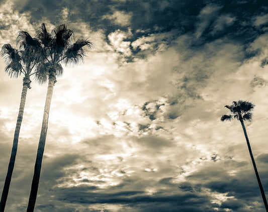After the Storm Vintage