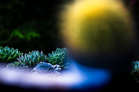 Aliens Return to the Mother Ship