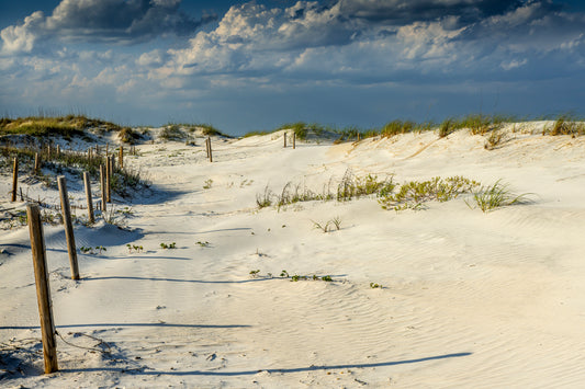 Long Shadows on Anastasia Island
