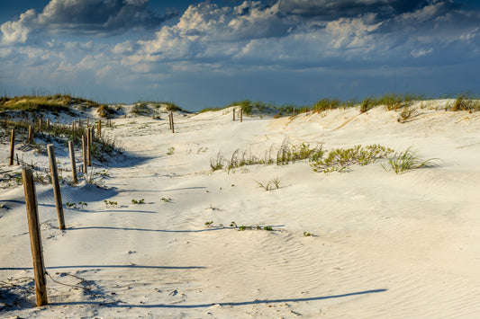 Anastasia Island - Long Shadows