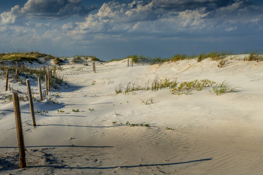 Anastasia Island - Late Day Long Shadows