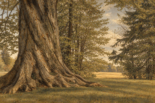 WYETH EYES 5: Late Afternoon in Rural Indiana