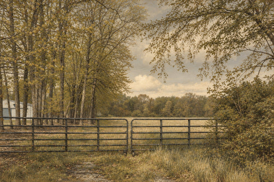 WYETH EYES 6: Serenity