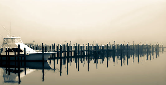 As Memory Fades