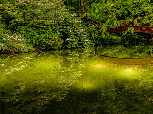 Bridge Over Untroubled Water