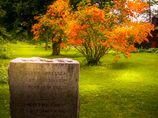 Deerfield - Sunset Memorial