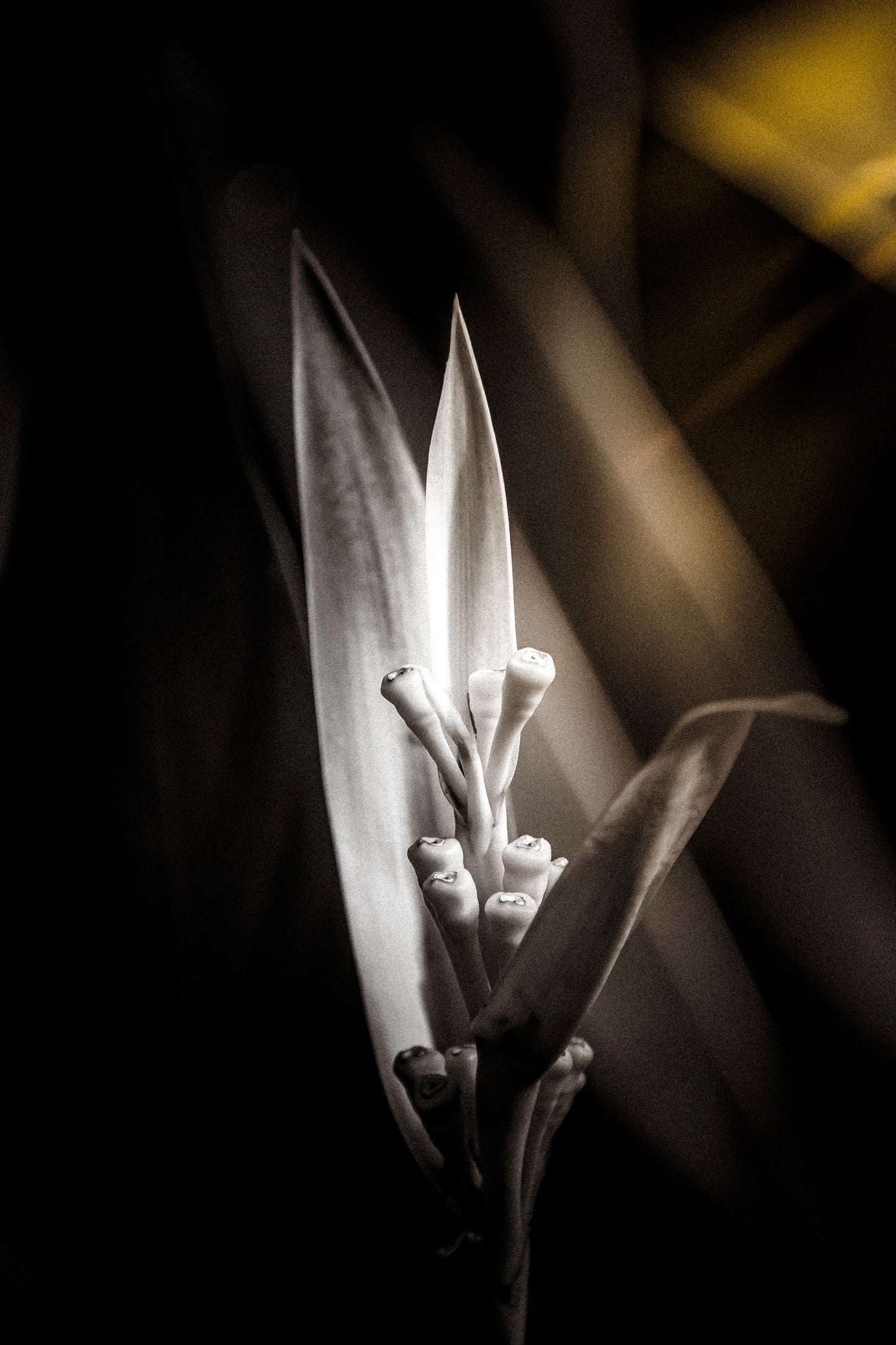 Demise