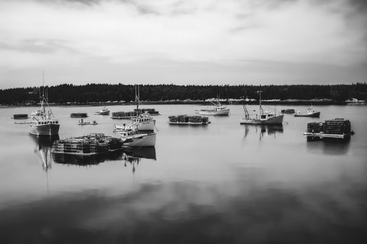 Dipper Harbour Morning Rush Hour