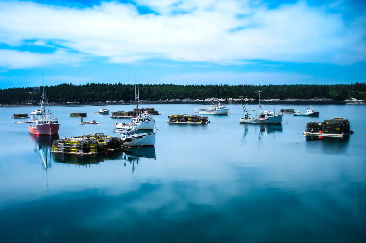Dipper Harbour Morning Rush Hour