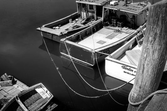 Dipper Harbour Siblings