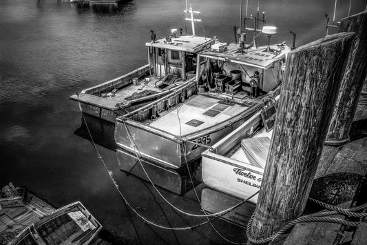 Dipper Harbour - Siblings in B&W