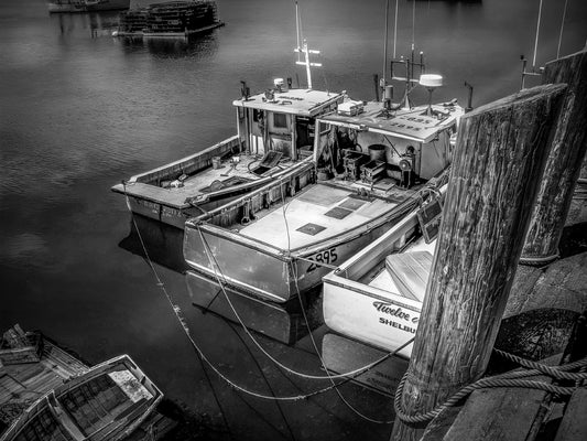 Dipper Harbour - Siblings in B&W