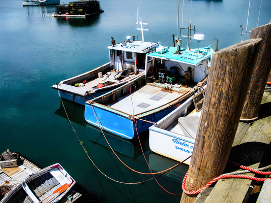 Dipper Harbour - Siblings