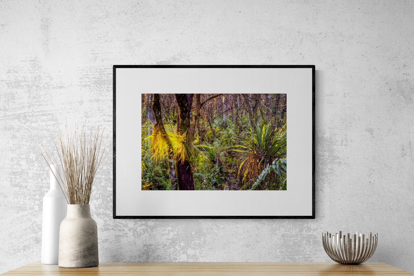 Loxahatchee - Enchanted Forest
