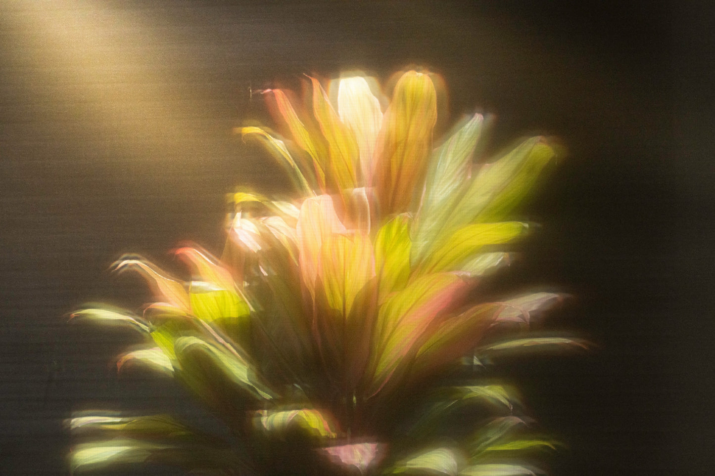 Follow the Light 1