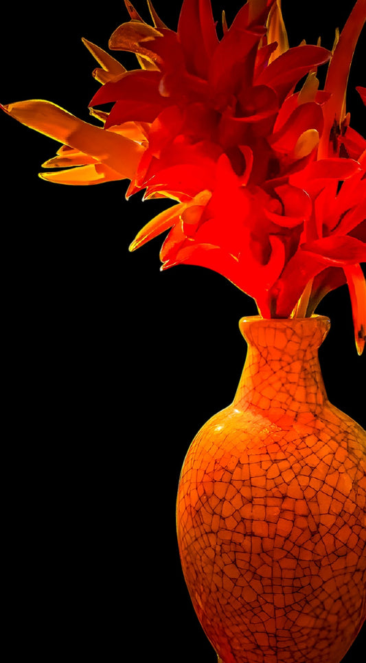 Ginger and Heliconia on Black