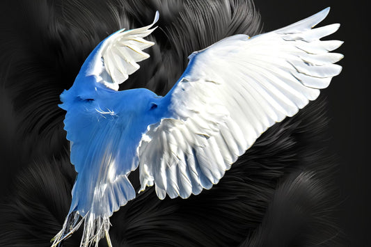 Heavenly Wrath