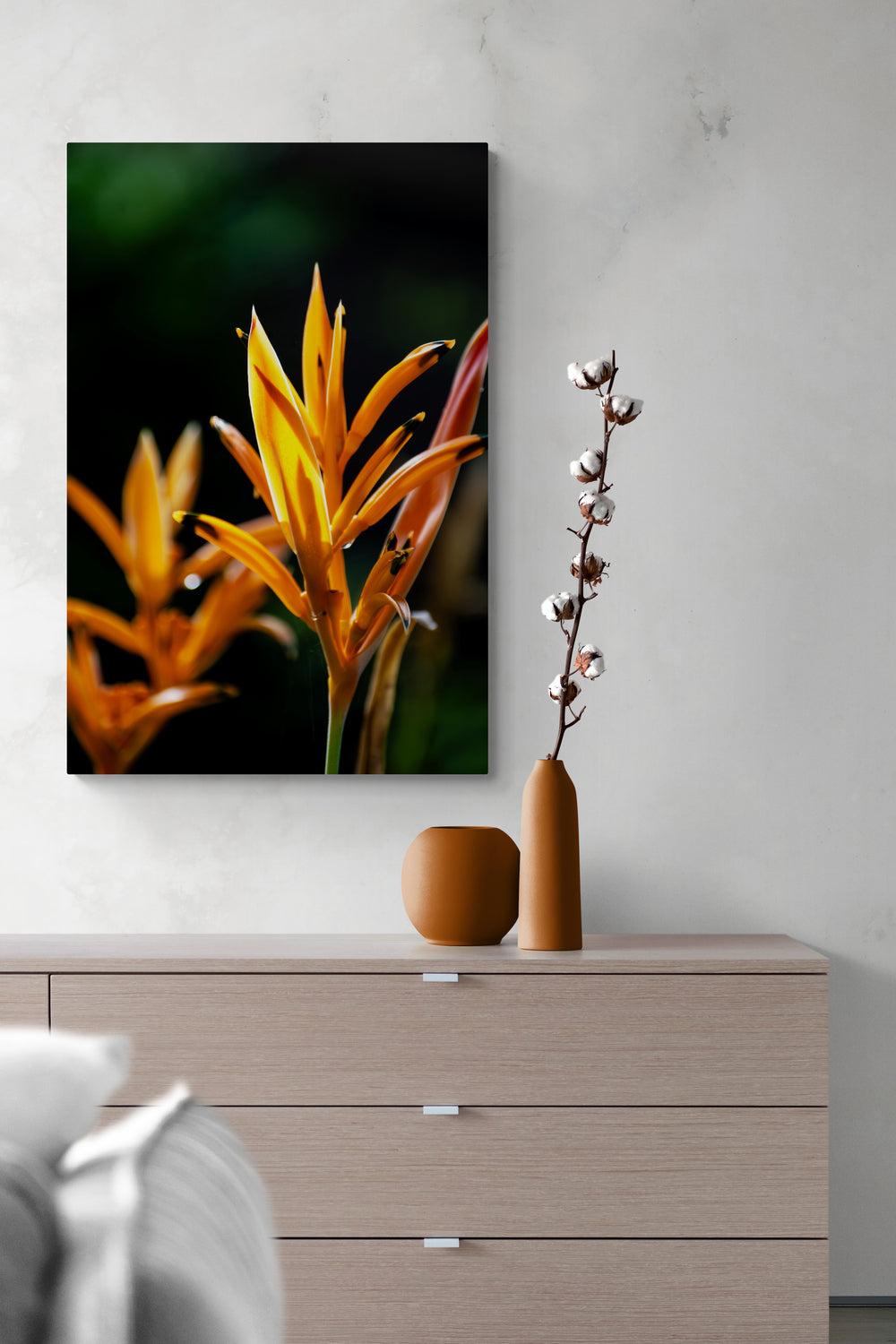 Heliconia Nation