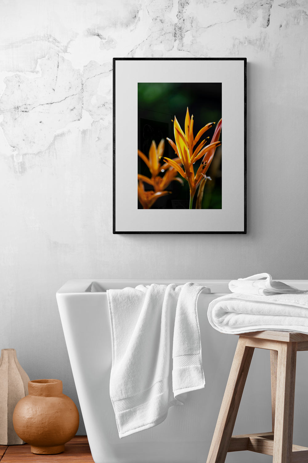 Heliconia Nation