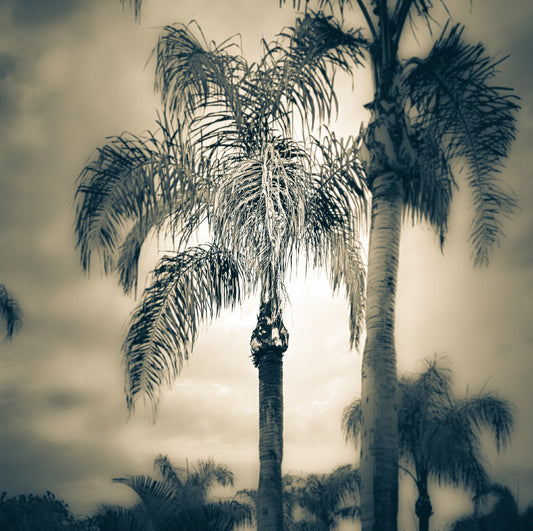 Icons Vintage