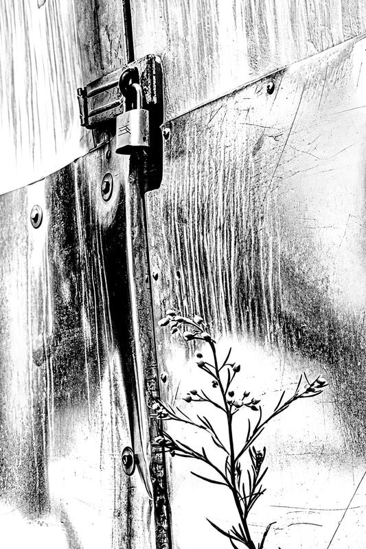 Back Alley Reflections