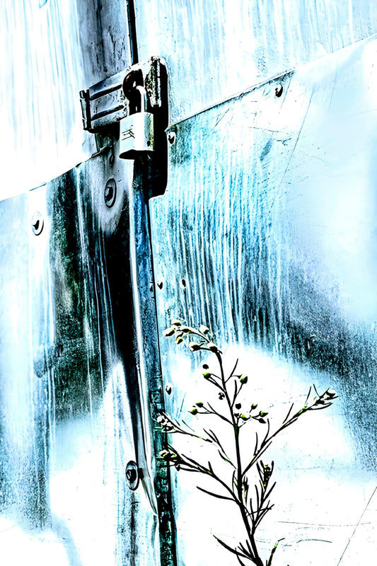 LA - Back Alley Reflections