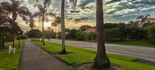 Sunrise Over Lexington Club Blvd.