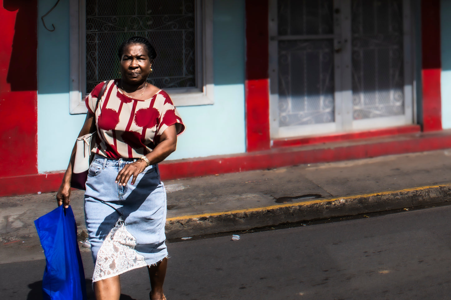 Midday Excursion in Basseterre