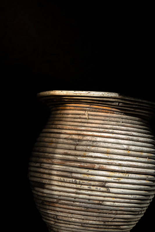 Morning Light Study 1