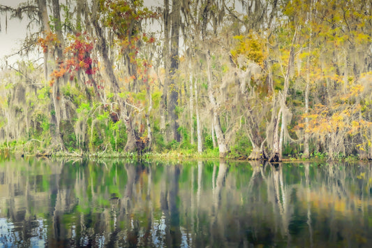 Ocala - First Impressionism